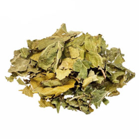 Chá Amoreira Folha, 50g- Biocêutica