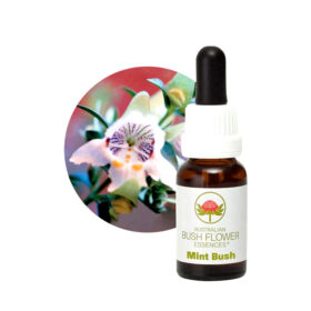 Mint Bush, 15ml - Australian Bush Flower Essences