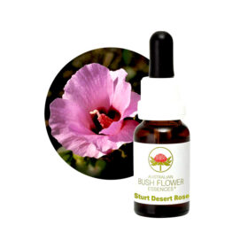 Sturt Desert Rose, 15ml - Australian Bush Flower Essences