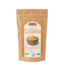 Curcuma em Pó Biológica, 500g - Ecoidées