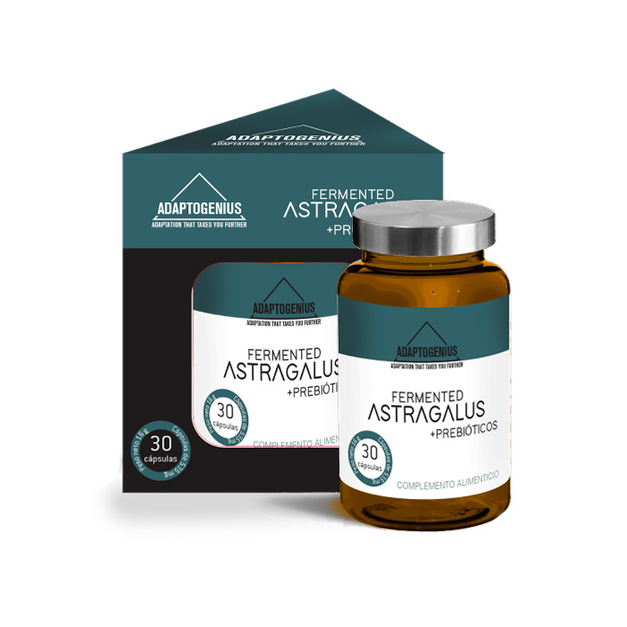 astragalus - Natura24.pt