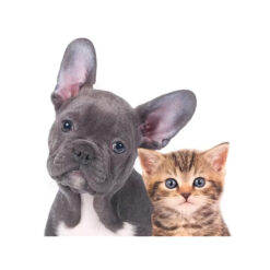 Alternative view of Dr. Green AlgiGreen Solução Oral, 50ml - Drasanvi