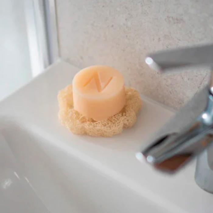 esponja2 - Natura24.pt