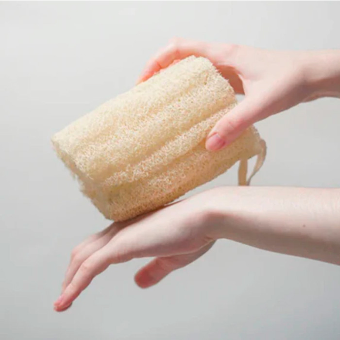 esponja3 - Natura24.pt