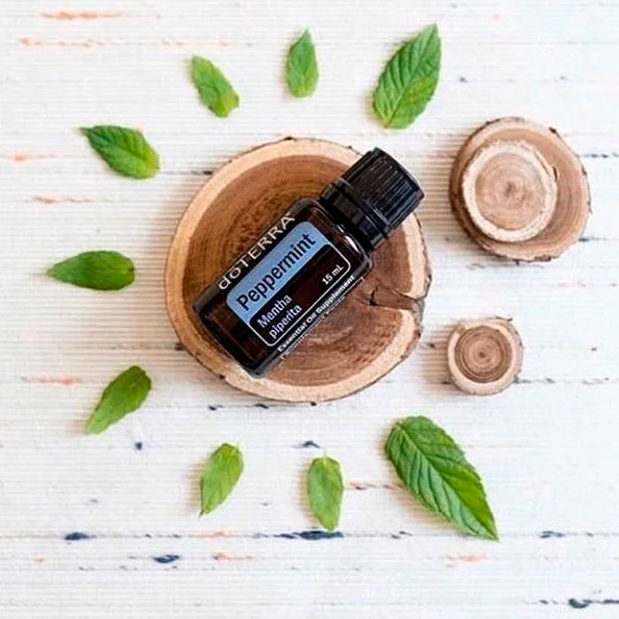 perpemint2 - Natura24.pt