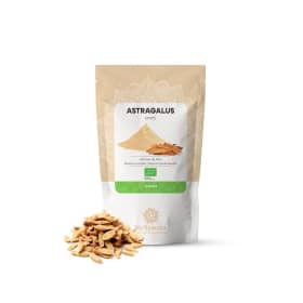 Astragalus Em Pó Bio, 250g – Biosamara